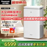 松下（Panasonic）除湿机/抽湿机 大功率双重除湿净化防霉除菌家用干衣工业地下室卧室除湿器空气干燥机 50L/天 70-120㎡ 除菌款F-100C5YXC