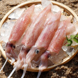 海鲜颂鲜活冷冻鱿鱼 笔管鱼小管海兔子 新鲜鱿鱼须海鲜水产火锅烧烤食材 1kg（500g*2）