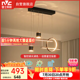 雷士（NVC）餐厅吊灯LED智能简约北欧轻奢黑金餐桌带筒灯长条灯智能款40瓦