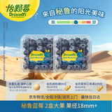 怡颗莓Driscoll's 秘鲁进口蓝莓大果 18mm+ 2盒 125g/盒 新鲜水果