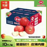 佳农烟台红富士苹果 净重10斤 一级果 单果重160g+ 水果礼盒源头直发