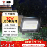 公牛（BULL）LED投光灯户外庭院工厂园林灯露营灯 IP65防水等级30W-6500K白光