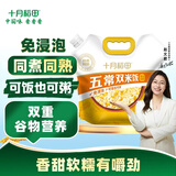 十月稻田 五常双米饭 大米玉米混合饭料 香甜软糯有嚼劲 五常双米饭 2.5kg*1袋