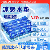 盼舒宁【万评口碑优选】水垫注水垫冰垫防病人水袋医床垫褥疮床上护理用 45*45cm【送冰晶 * 行业爆款】 加厚防爆 | 注水款 | 深蓝色雪花图案