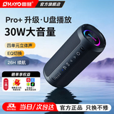 雷登X10音响蓝牙音箱2.0声道 高音质户外大功率低音炮小型随身有源防水迷你便携式2026最新款骑行音响 X10pro+【2.0独立声道-黑】26h播放+30W功率+可插U盘 标配【四单元立体声低音炮