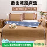 艾薇天然藤席凉席 宿舍垫子单人 单席0.9米 云朵【双面可用】