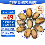 鲟食速冻大鲍鱼新鲜福建九孔鲍鱼国产 海鲜水产聚餐自用烧烤食材 3袋【三去免处理】熟冻锁鲜6只装*3