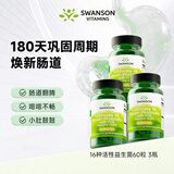 斯旺森（SWANSON）16种肠胃益生菌60粒3瓶 32亿活菌CFU加氏乳杆菌鼠李糖维矿益生元