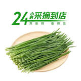 七鲜24小时绿色韭菜 250g