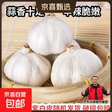 【百万单爆品】紫白皮蒜水果大蒜超市生鲜蔬菜调料即食蒜 【尝鲜】3头50g单果3.5-5cm