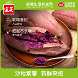 佳农宝菜 紫薯正宗山东水晶糖心紫薯新鲜紫薯懒人早餐山芋甘薯地瓜 净重5斤 单果克重80g+