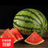 一级果正宗美都麒麟西瓜安徽砀山精品爆汁8424麒麟西瓜 净重9-10斤一个装