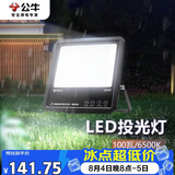 公牛（BULL）LED投光灯庭院灯工地灯园林照明露营灯 IP65防水100W-6500K白光