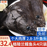 朵芙鲽鱼超大 免处理鲽鱼身比目鱼 鲽鱼段冷冻鸦片鱼海鱼鱼类 精选鲽鱼头 350g *4只