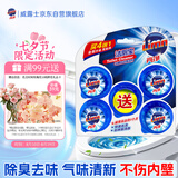 亮净洁厕宝马桶自动清洁球洁厕块洁厕球 洁厕灵 蓝泡泡厕宝50g*5粒