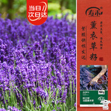寿禾 薰衣草种子苗四季可盆栽种花卉籽 鲜之吻法国薰衣草种子约6000粒