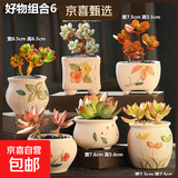 【东东农场专供】绿植盆栽大口径多肉陶瓷素烧透气粗陶手绘小花盆 好物组合6个 【看图标注】