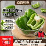 新鲜青椒菜椒圆椒水果椒现摘现发京东快递 山东精品菜椒3斤净重