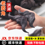 藕荷泥（OUHENI）现摘洪湖新鲜菱角老菱角黑菱角青菱角米新鲜粉糯湖北特产生鲜棱角 洪湖老菱角3斤 顺丰/京东保鲜发货