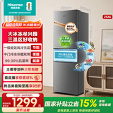 海信256升一级节能小冰箱小型无霜冰箱家用节能三开门家电国家补贴以旧换新BCD-256E3SRNKD 【价保618】