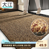 大江入户门地垫脚垫户外门口地毯硬丝进门垫57x87cm