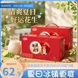 达利园花生牛奶 植物复合蛋白饮料早餐奶250ml*24盒*2箱 手提好运礼盒装