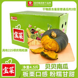 佳农宝菜独家佳贝13号粉糯贝贝南瓜净4.5斤250g+ 4-9头源头直发