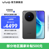 vivo X300 蔡司2亿超级主摄 蔡司APO超级长焦 持久流畅OriginOS 6 国补 直屏拍照手机 大内存性价比 纯粹黑 16GB+1TB 官方标配