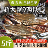 【冷冻】森农乐舟山梭子蟹鲜活特大野生螃蟹（26年新蟹活冻顺丰） 5-7两/只【4斤净重 个大肉多】