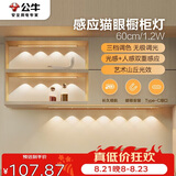 公牛（BULL）感应猫眼橱柜灯磁吸充电山丘光效展柜玄关氛围小夜灯 银60cm三色