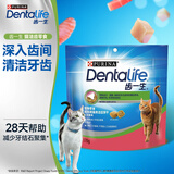 齿一生猫零食猫咪饼干洁齿磨牙零食成猫三文鱼味170g Dentalife