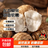 【东东农场专供】新鲜牛奶芋头现挖毛芋头香嫩爽滑奶油芋头小香芋 奶白芋头 9斤 带箱 中大果
