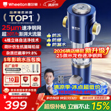 惠尔顿前置过滤器20T大通量过滤25微米反冲洗家用全屋净水器 实时自动清洗刮洗自来水防爆过滤器P0038pro 自行安装【20T-升级25微米精滤】