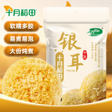 十月稻田银耳 200g 糯耳丑耳 易出胶 银耳羹 莲子百合冰糖红枣 火锅食材