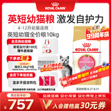 皇家猫粮 英短幼猫粮 BSK38 4-12月 10KG