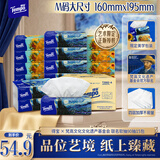 得宝（TEMPO）梵高文化遗产基金会艺术系列抽纸4层90抽*15包 湿水不易破 纸巾
