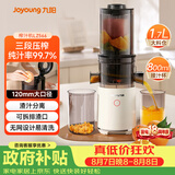 九阳（Joyoung）原汁机三段压榨家用多功能大口径电动冰淇淋机冷压榨果汁榨汁机渣汁分离Z12-LZ566