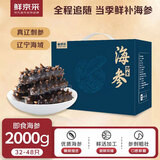 鲜京采大连即食海参4斤32-48只 礼盒固形物超75%【京东自有品牌】