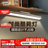 欧普照明（OPPLE）LED酷毙灯USB学生护眼灯管应急阅读台灯宿舍寝室书桌灰色充电款