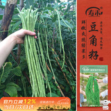 寿禾长豆角豇豆种子苗搭架农家菜园种植蔬菜种籽 豇豆种子25g约120粒