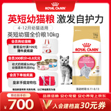 皇家猫粮 英短幼猫粮 BSK38 4-12月 10KG