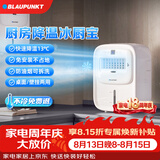 蓝宝（BLAUPUNKT）冰雾扇厨房电风扇家用厨房降温神器专用小型水冷空调扇加湿风扇冷风机无冰晶节能低噪可拆洗壁挂X6