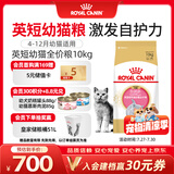 皇家猫粮 英短幼猫粮 BSK38 4-12月 10KG