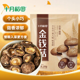 十月稻田 金钱菇 200g 干香菇 小香菇 山珍菌菇干货 煲汤火锅炒菜食材