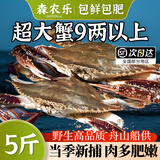 【冷冻】森农乐舟山梭子蟹鲜活特大野生螃蟹（26年新蟹活冻顺丰） 7-9两/只【5斤净重 特大肥壮】
