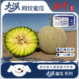 京鲜生 甘肃大漠网纹瓜 净重6-7斤2-3粒礼盒装 生鲜水果源头直发