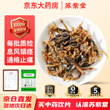 苏紫堂全蝎30g/袋 山西运城 中药饮片 无熏硫公蝎子干母蝎子全虫新货全蝎 【京东大药房】