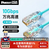 泛达 泛达超六类细网线CAT6A类跳线家用电脑宽带POE监控万兆高速成品线 冰湖蓝 0.5米