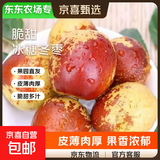 【东东农场专供】庙上冬枣新鲜水果当季冰糖超甜枣子脆枣鲜枣青枣 皮薄肉厚12g+带箱1斤