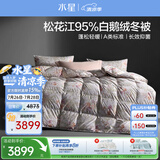 水星家纺羽绒被95%白鹅绒被子冬季加厚冬被芯双人羽绒被220cm×240cm1200g